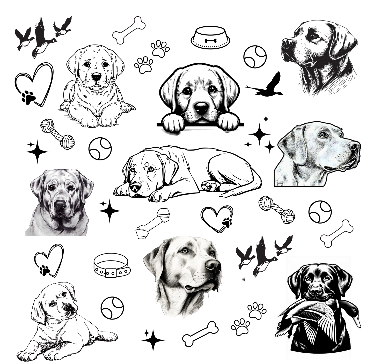 DOG BREED LASER DESIGNS