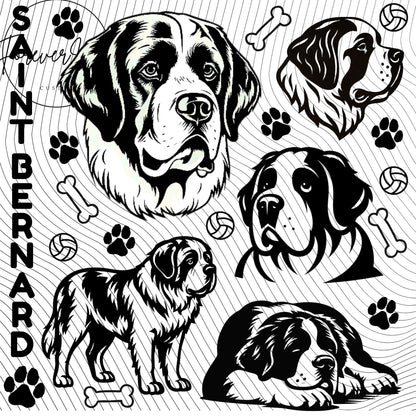 LASER DESIGNS AVAILABLE