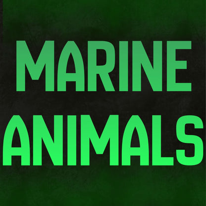 Marine Animals