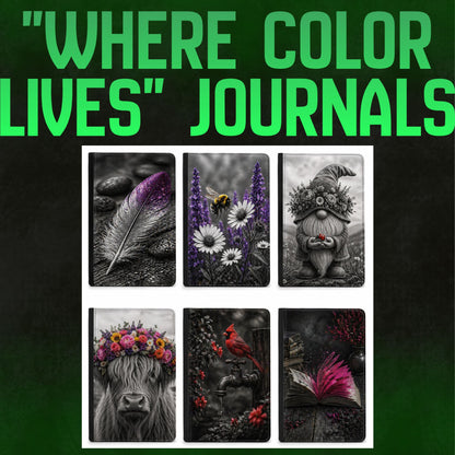 Where Color Lives- Journals